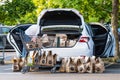 August 1, 2020 Cupertino / CA / USA - Vehicle loaded by an Amazon Prime delivery person with groceries ordered online from Whole