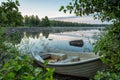 August foggy morning by the lake Royalty Free Stock Photo