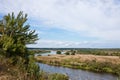 August landscape. River Berezina valley. Royalty Free Stock Photo