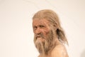 Life-scale reproduction of Iceman Ãtzi at the archaeological museum of Bolzano, Italy Royalty Free Stock Photo