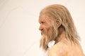 Life-scale reproduction of Iceman Ãtzi at the archaeological museum of Bolzano, Italy Royalty Free Stock Photo