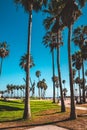 Beautiful summer day at the Venice beach district in LA