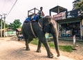 August 25, 2014 - Man riding an elephant in Sauraha, Nepal Royalty Free Stock Photo