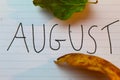 August month background on white paper Royalty Free Stock Photo