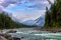 August morning at mountain rivulet