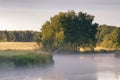 August Morning on the river Svisloch