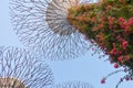 August 10, 2019 - Singapore Supertrees in Gardens by the bay at Bay South Singapore