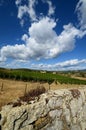 12 august 2017: stone wall and a beautiful vineyard on background with blue sky. Located near San Donato Village Florence