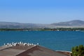 Armenia: lake sevan with gulls on a roof