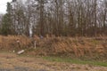 Election signs on the side of the road