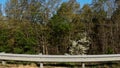 Georgia Prison inmates working on the side of the road picking up trash slow motion