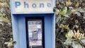 Vintage Blue outdoors public payphone booth leaves growing over