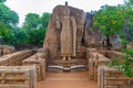 Aukana buddha statue in Sri Lanka Royalty Free Stock Photo