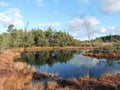 Aukstumalos swamp in autumn , Lithuania