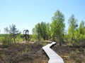 Aukstumalos swamp , Lithuania