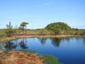 Aukstumalos swamp in spring , Lithuania