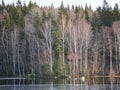 Aulankojarvi lake in snowless winter scene Royalty Free Stock Photo