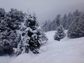 Auli, the hill station in Uttarakhand, India