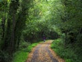 AULLA, LUNIGIANA, ITALY - OCTOBER 14, 2019: The Aulla Greenway is a cycle and pedestrian path making use of the old