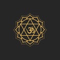 Aum Om Ohm symbol black on black background. vector illustration Indian culture India spiritual yoga om icon