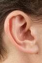 Auricle close-up, outer ear, human anatomy hearing aid, ear canal, tragus and antitumor, lobe, selective Royalty Free Stock Photo