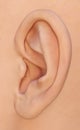 Ear, auricle - the human outer ear anatomy Royalty Free Stock Photo