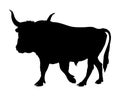 Aurochs Royalty Free Stock Photo