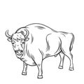 Aurochs or bison Royalty Free Stock Photo