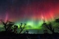 aurora australis, with a view of the southern sky and stars