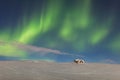 Aurora borealis above the sea. Jokulsarlon glacier lagoon, Iceland. Green northern lights. Starry sky with polar lights. Night Royalty Free Stock Photo