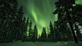 Aurora borealis above trees in Finnish forest. Saariselka. Royalty Free Stock Photo