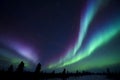 Aurora Borealis above Tundra Royalty Free Stock Photo