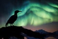 aurora borealis and australis, with silhouette of soaring bird in the foreground