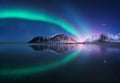 Aurora borealis above beach in Lofoten islands, Norway Royalty Free Stock Photo