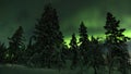 Aurora borealis behind trees in Northern Finland. Royalty Free Stock Photo