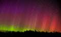 The Aurora Borealis on the horizon above the trees Royalty Free Stock Photo