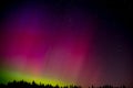 The Aurora Borealis on the horizon above the trees. Royalty Free Stock Photo