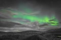 Aurora Borealis in Iceland northern lights bright beams rising green over hiking path and clouds in black white and accent color Royalty Free Stock Photo