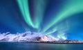 Aurora borealis on the Lofoten islands, Norway. Green northern lights above mountains and ocean shore. Night winter landscape with