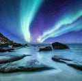 Aurora borealis on the Lofoten islands, Norway. Green northern lights above ocean shore. Night sky with polar lights. Night winter