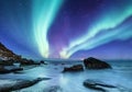 Aurora borealis on the Lofoten islands, Norway. Green northern lights above ocean shore. Night sky with polar lights. Night winter Royalty Free Stock Photo