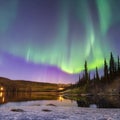 409 Aurora Borealis: A mesmerizing and ethereal background featuring the Northern Lights in captivating and vibrant colors that