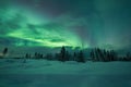 Aurora borealis (Northern Lights) in Finland, lapland forest