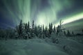 Aurora borealis (Northern Lights) in Finland, lapland forest