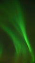 Aurora Borealis Northern Lights seen on a cold winter day in Narvik, Norway. Royalty Free Stock Photo