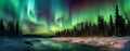 Aurora borealis on the Norway. Green northern lights above mountains. Night sky with polar lights. Night winter landscape Royalty Free Stock Photo