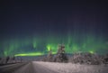 Aurora Borealis over the forest and road Royalty Free Stock Photo