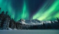 Aurora borealis over the frosty forest. Green northern lights above mountains