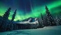 Aurora borealis over the frosty forest. Green northern lights above mountains