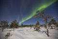 Aurora borealis over a moonlit landscape in northern Norway